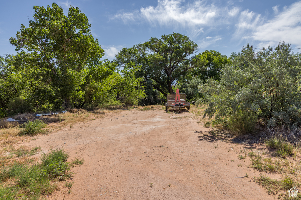 View of road
