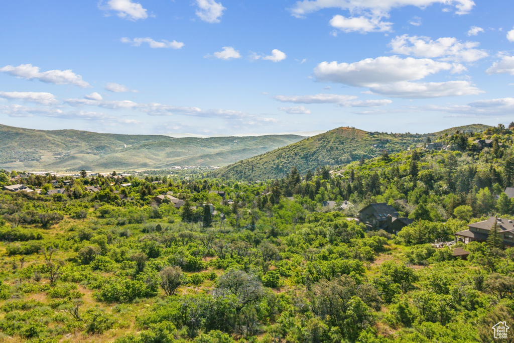 Mountain view featuring a forest