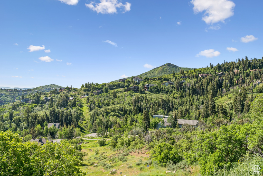 Mountain view featuring a heavily wooded area