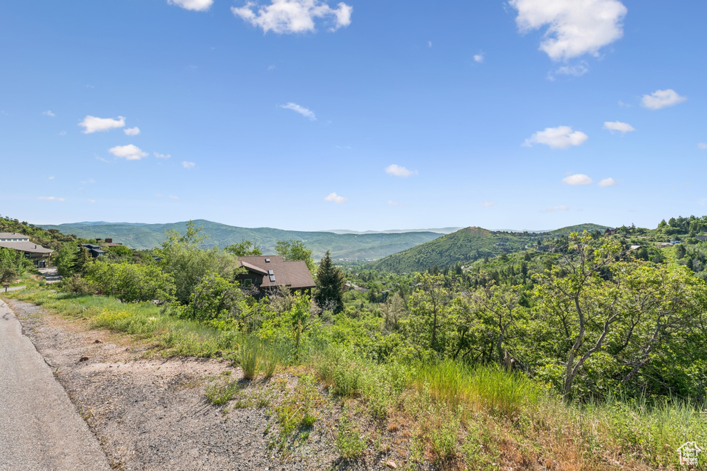 View of mountain backdrop