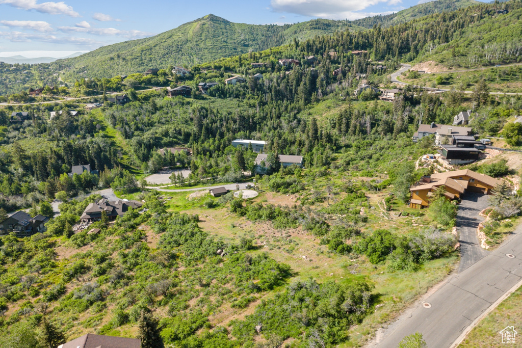 Bird's eye view of a mountain backdrop