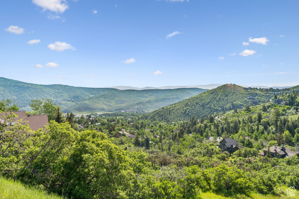 Mountain view