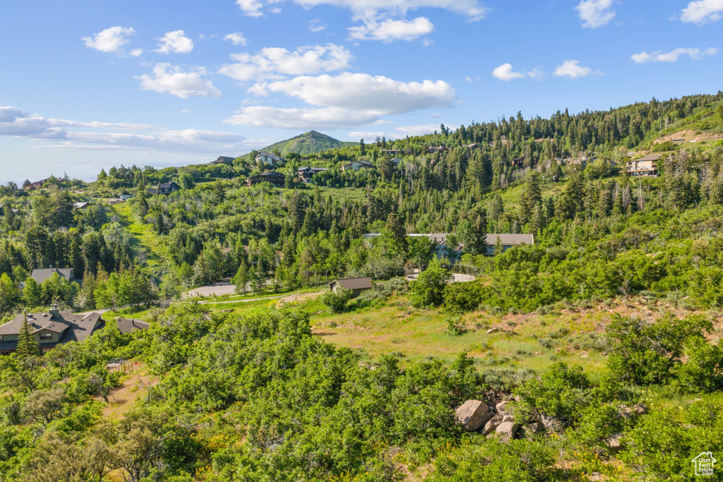 View of mountain background with a heavily wooded area
