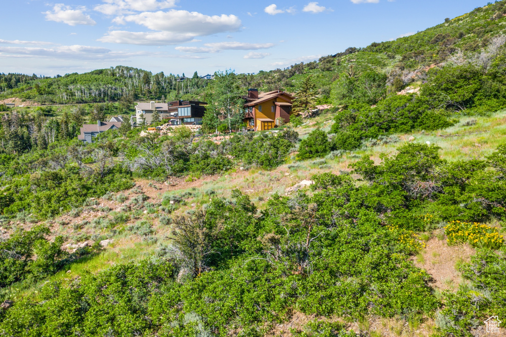 View of yard featuring a wooded view