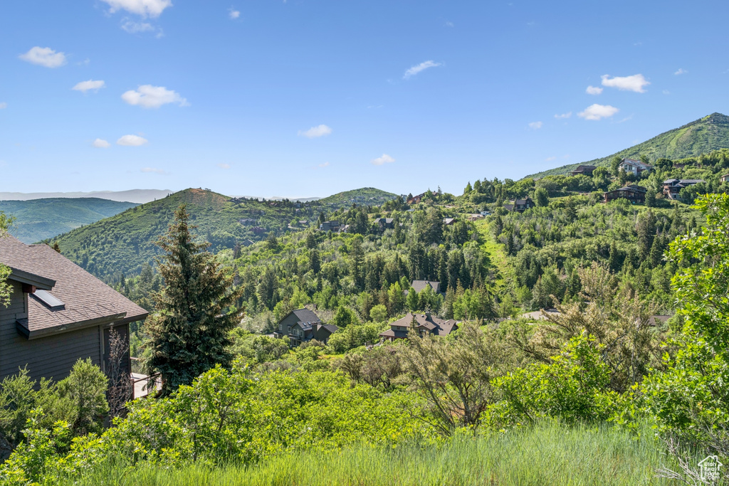 Mountain view