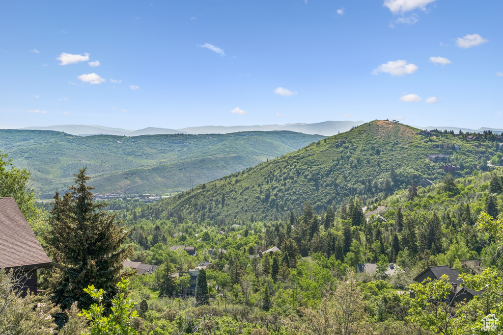 Mountain view with a forest
