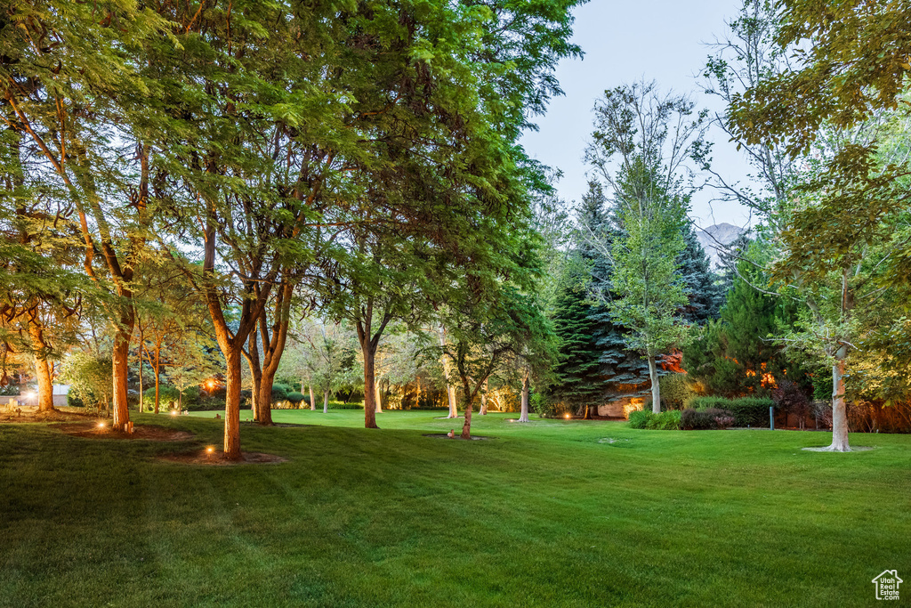 View of green lawn