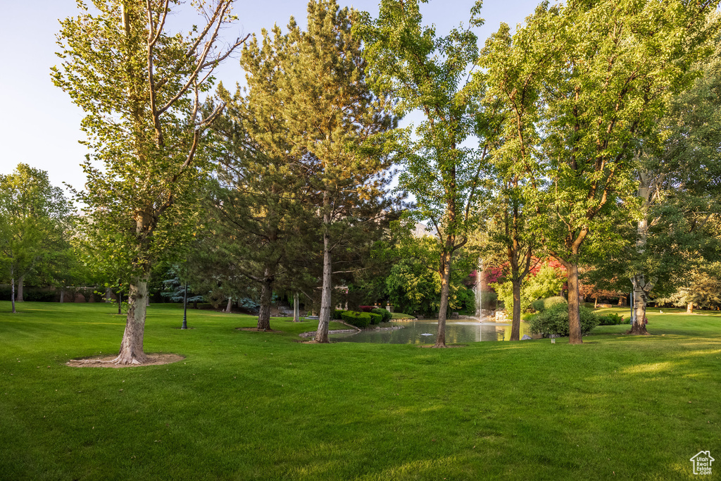 View of grassy yard featuring a water view