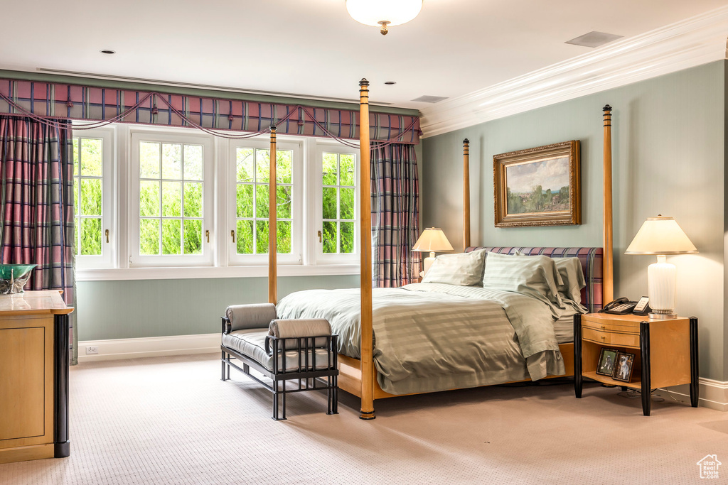 Bedroom with crown molding and carpet floors