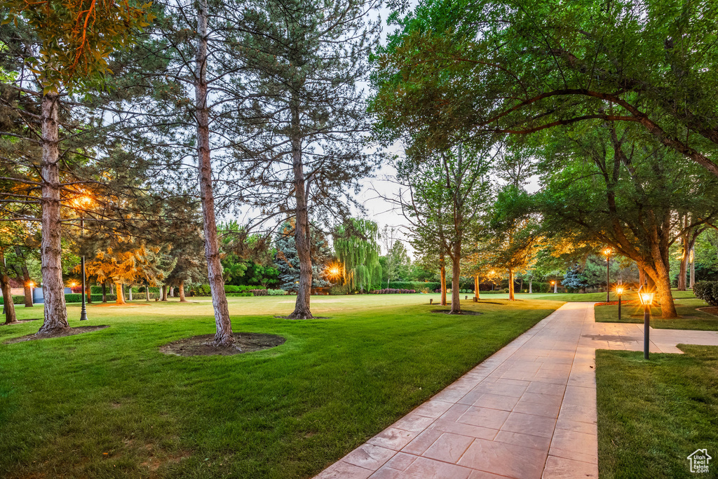 View of community with a yard
