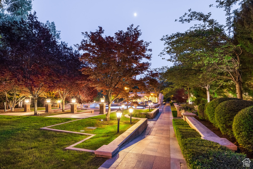 View of community with a yard