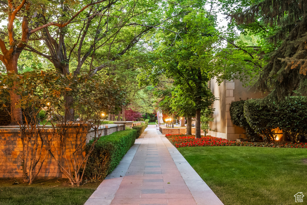 View of community featuring a yard