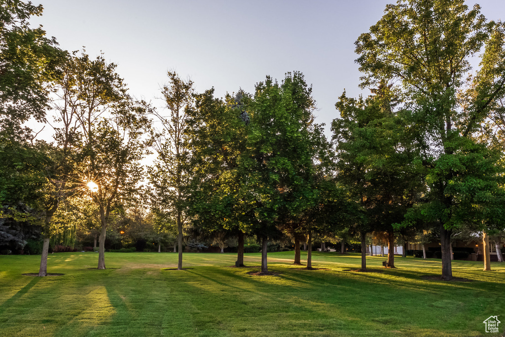 Surrounding community with a lawn