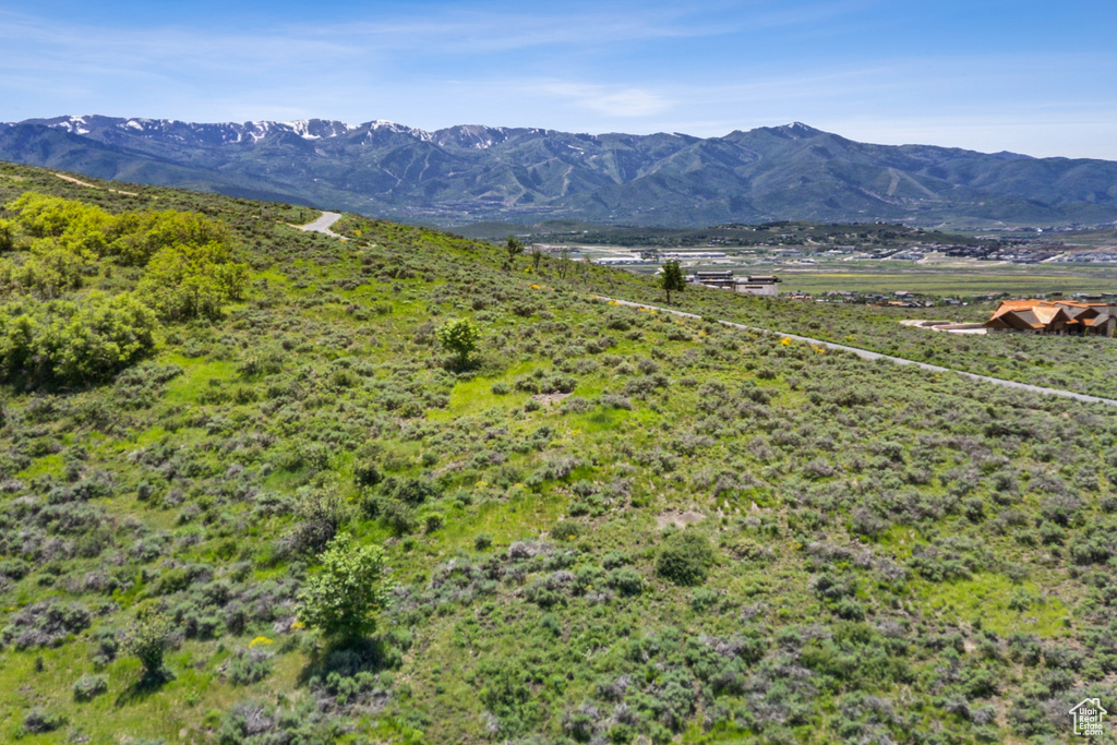 Mountain view