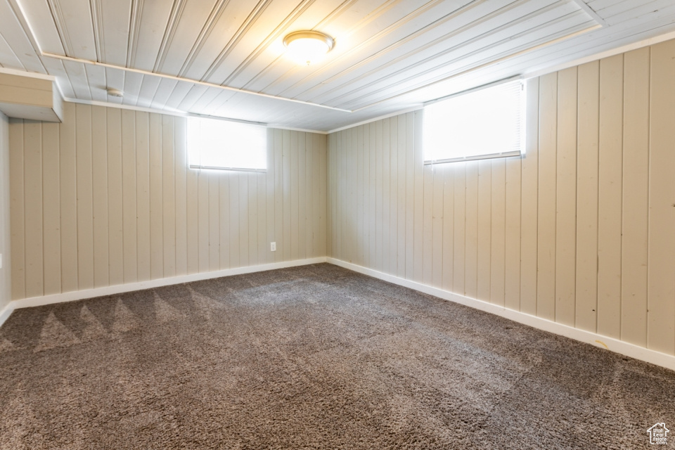 Basement featuring carpet floors and wood walls