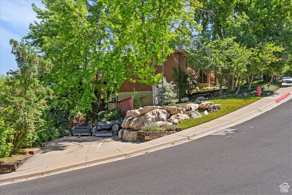 View of property hidden behind natural elements