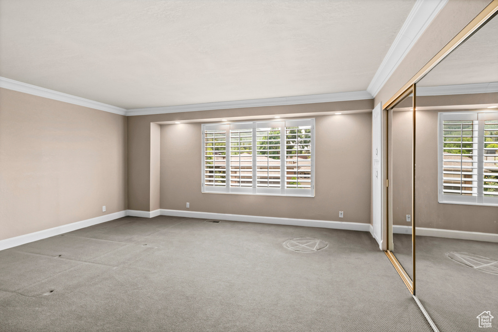 Spare room featuring crown molding and carpet floors