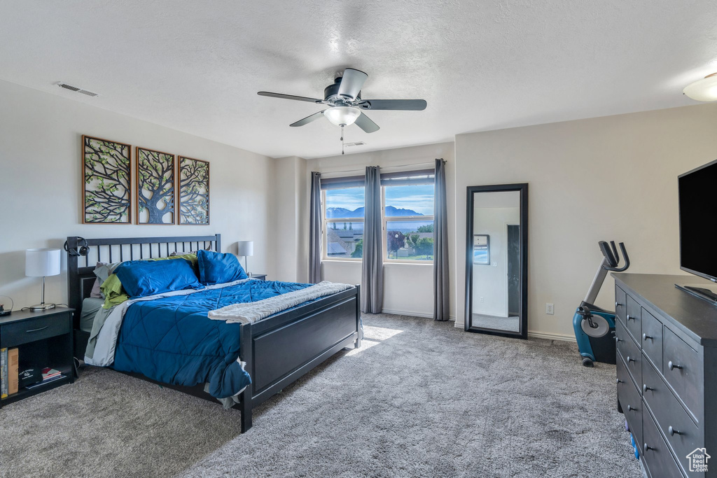 Bedroom featuring carpet floors, a ceiling fan, and a textured ceiling