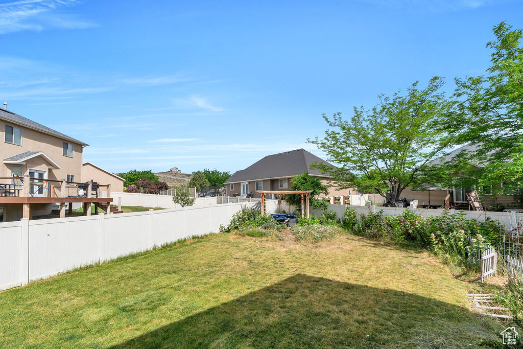 View of yard