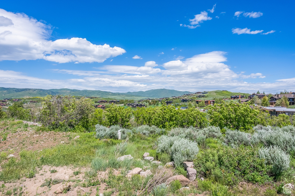 View of mountain backdrop