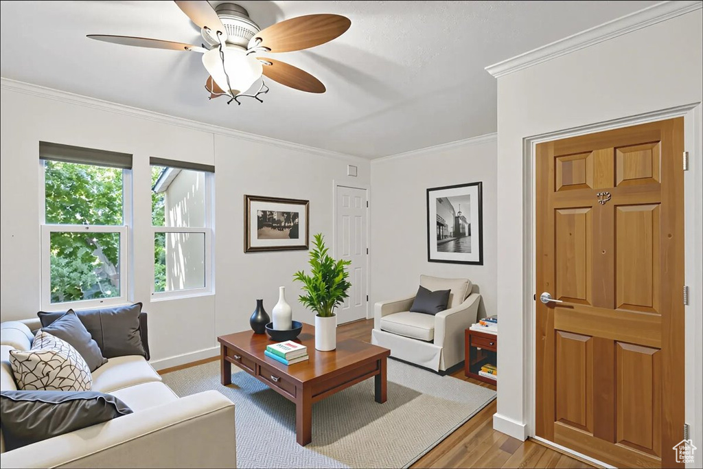Living room with ceiling fan, ornamental molding, and light wood-style flooring