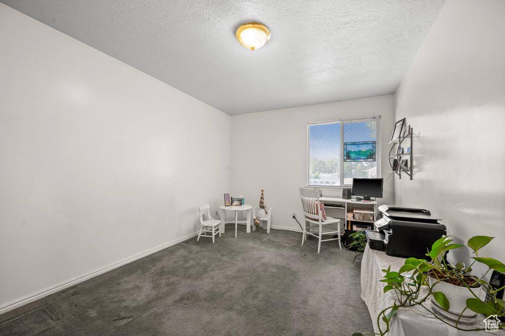 Office space featuring carpet and a textured ceiling
