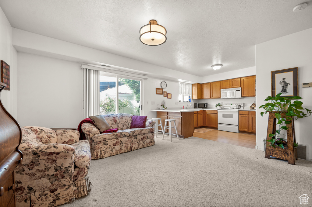 Living room with light carpet