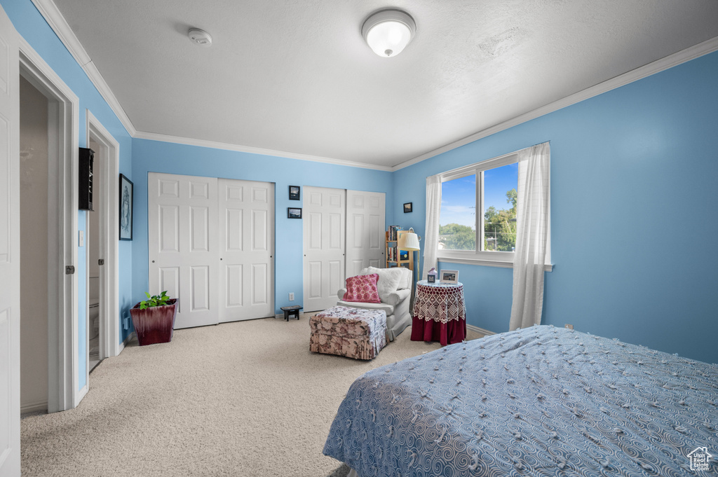 Bedroom with carpet floors, ornamental molding, and multiple closets