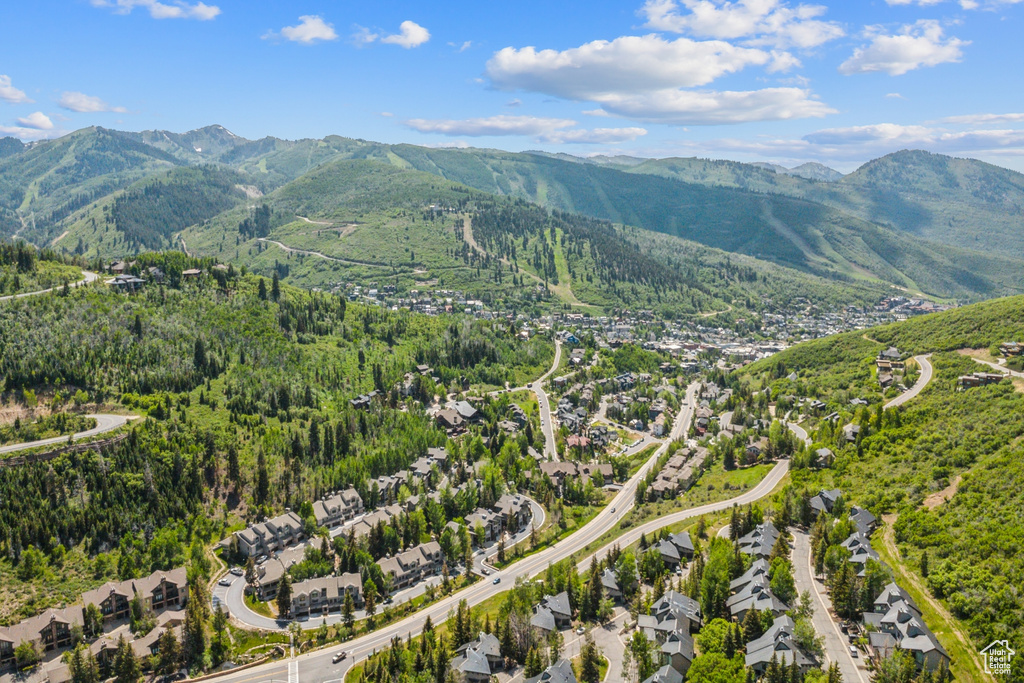 Aerial view of a mountain backdrop and a forest