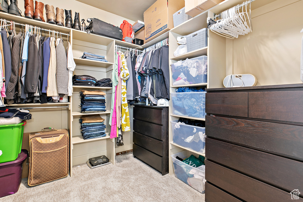 Walk in closet featuring carpet