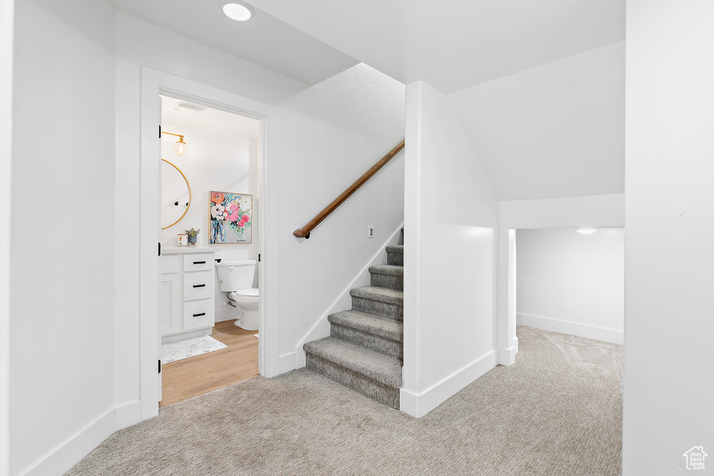 Stairs with carpet floors and baseboards
