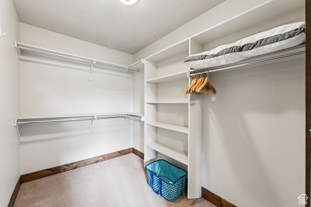 Walk in closet featuring carpet floors