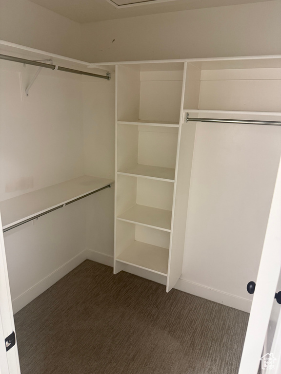 Walk in closet featuring carpet