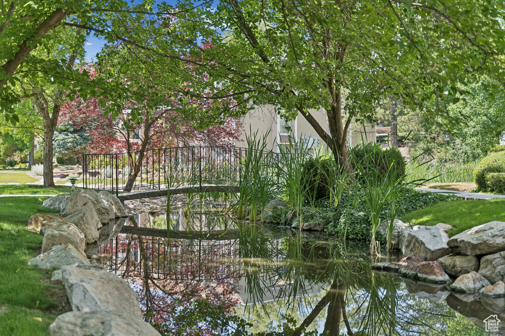 Surrounding community