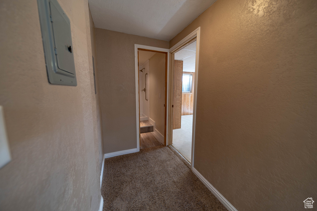 Corridor featuring electric panel, carpet, and a textured wall