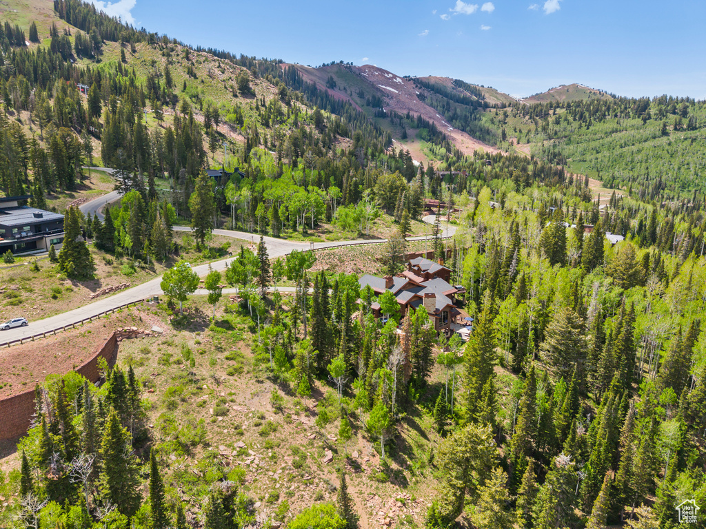 Mountain view with a heavily wooded area