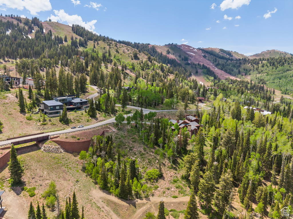 View of mountain backdrop featuring a heavily wooded area