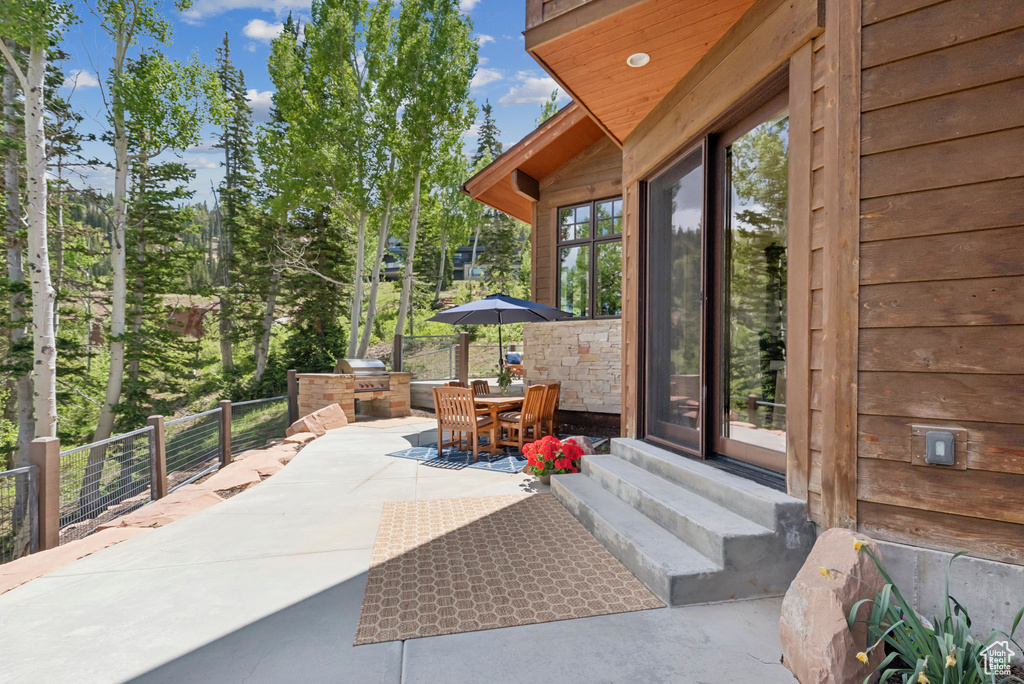 View of patio / terrace with outdoor dining area, entry steps, and an outdoor kitchen