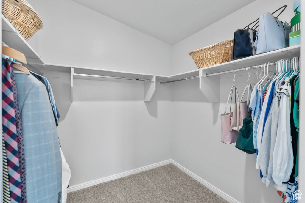 Spacious closet featuring carpet flooring