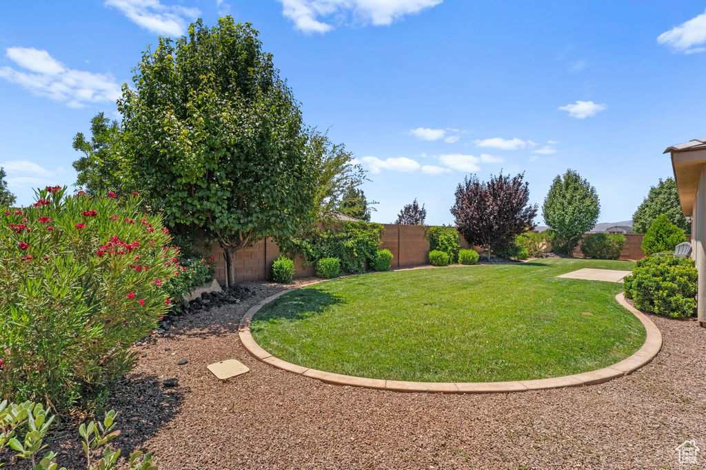View of fenced backyard