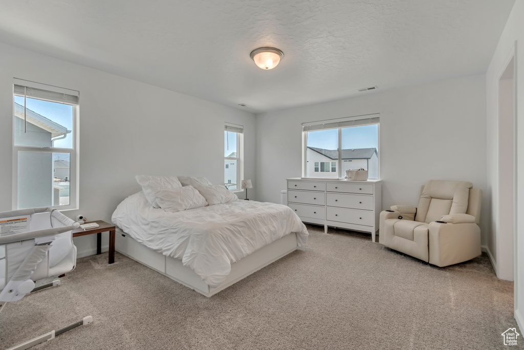 Carpeted bedroom featuring multiple windows