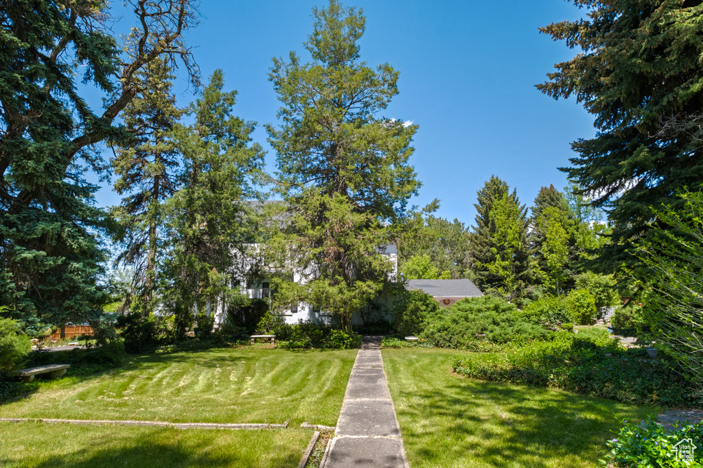 View of grassy yard