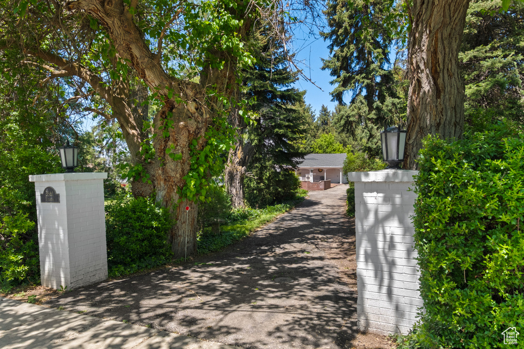 View of asphalt driveway