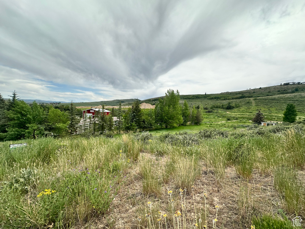 View of yard featuring a rural view