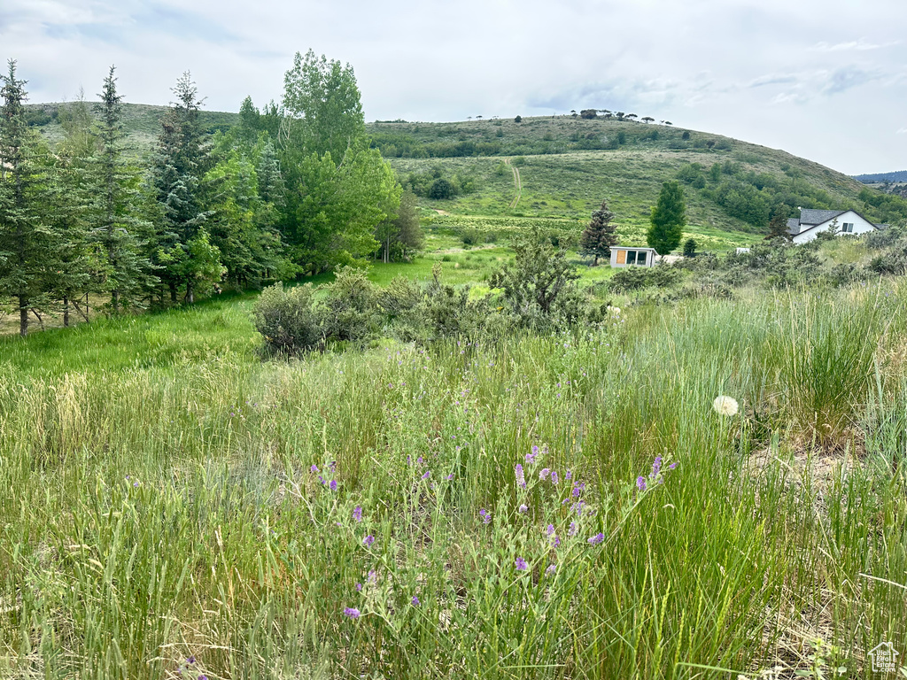 View of mountain backdrop featuring rural landscape