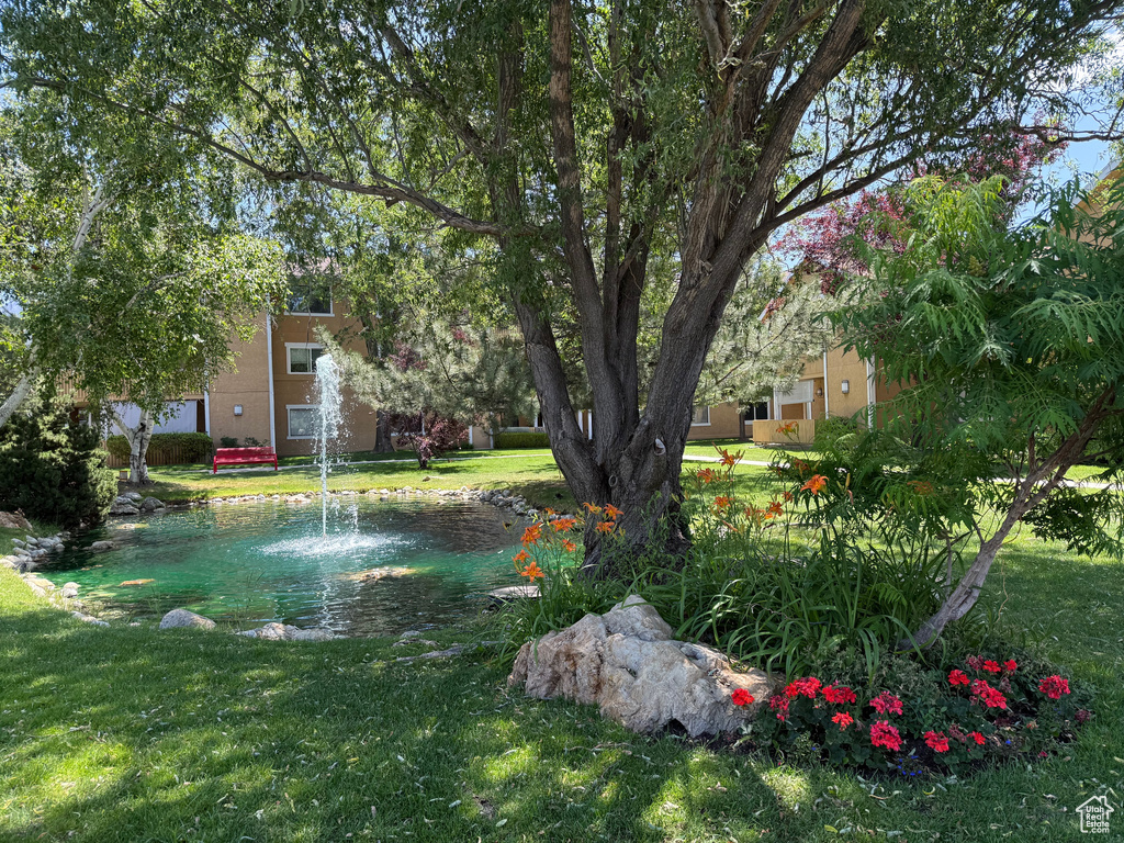 View of grassy yard