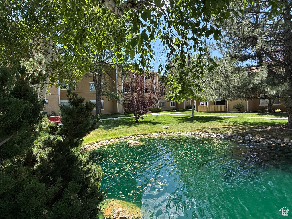 View of grassy yard