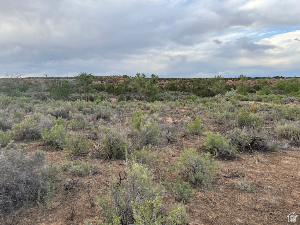 View of nature