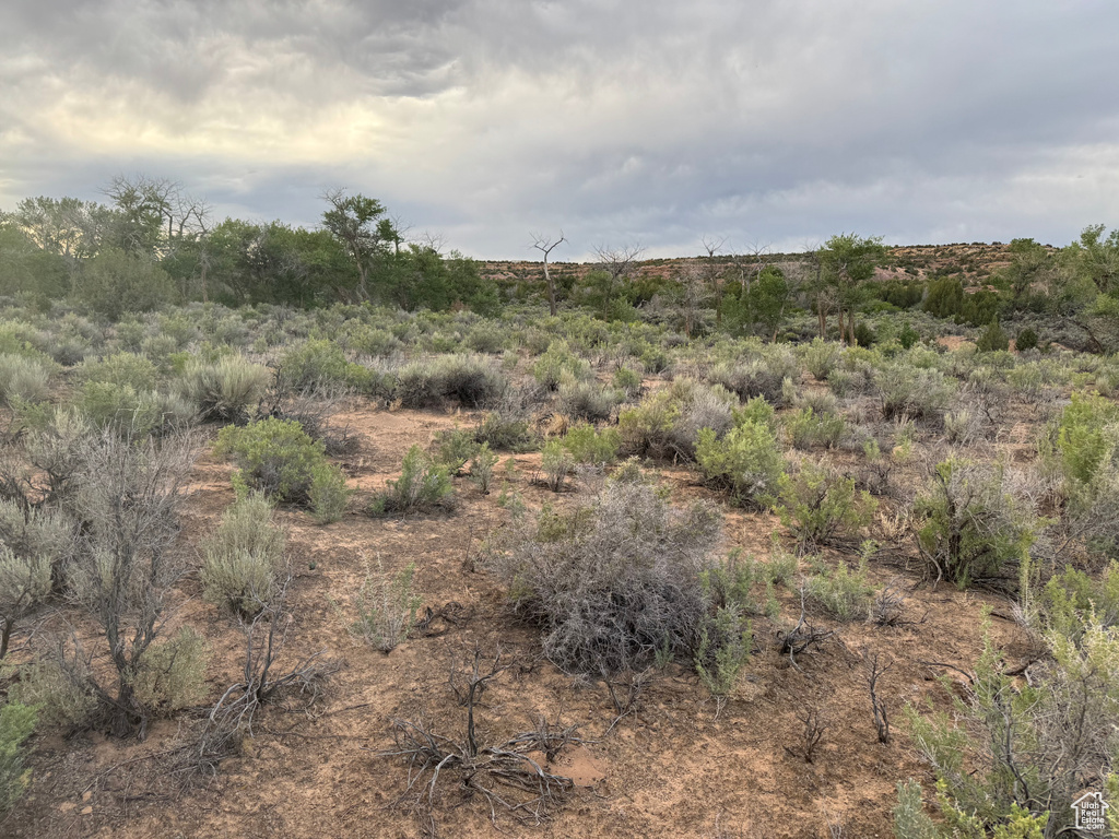 View of undeveloped land