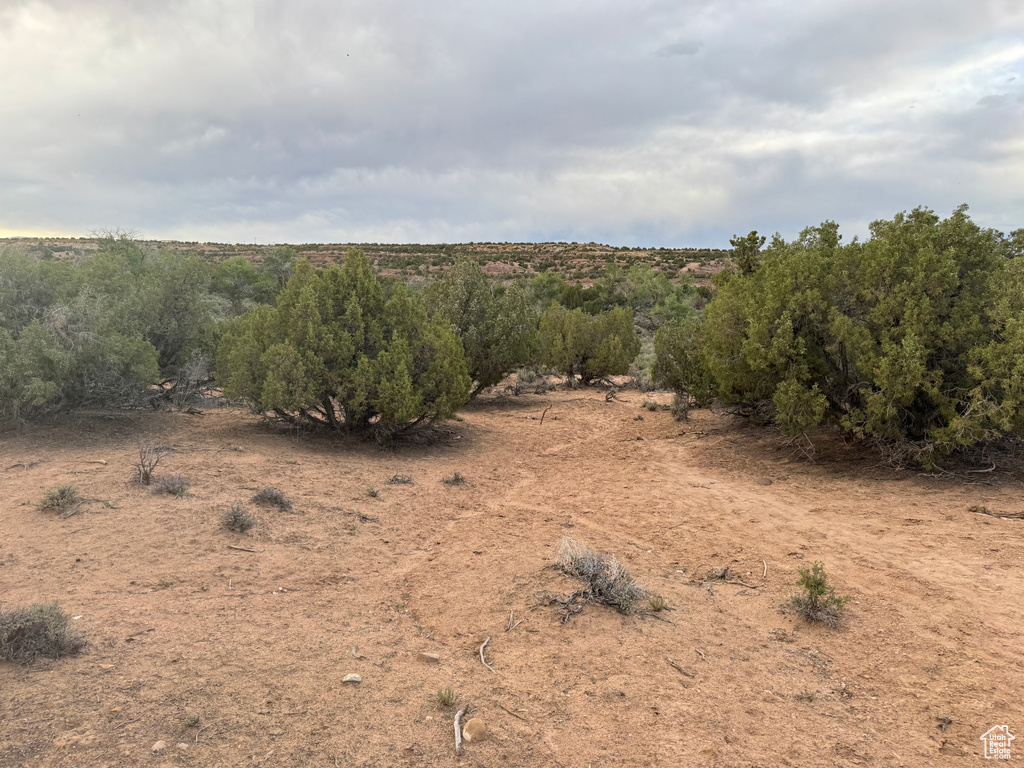 View of undeveloped land featuring rural landscape